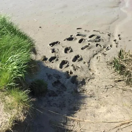 In With Swimming Pool